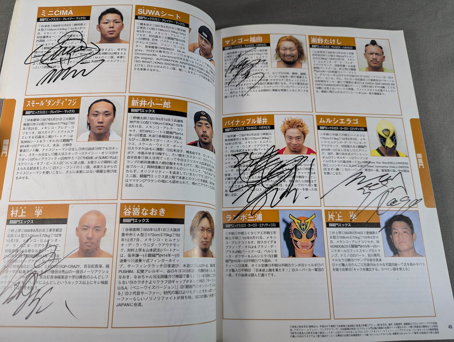 【71名直筆サイン入り】プロレスラー カラー写真名鑑2004 増補改訂版