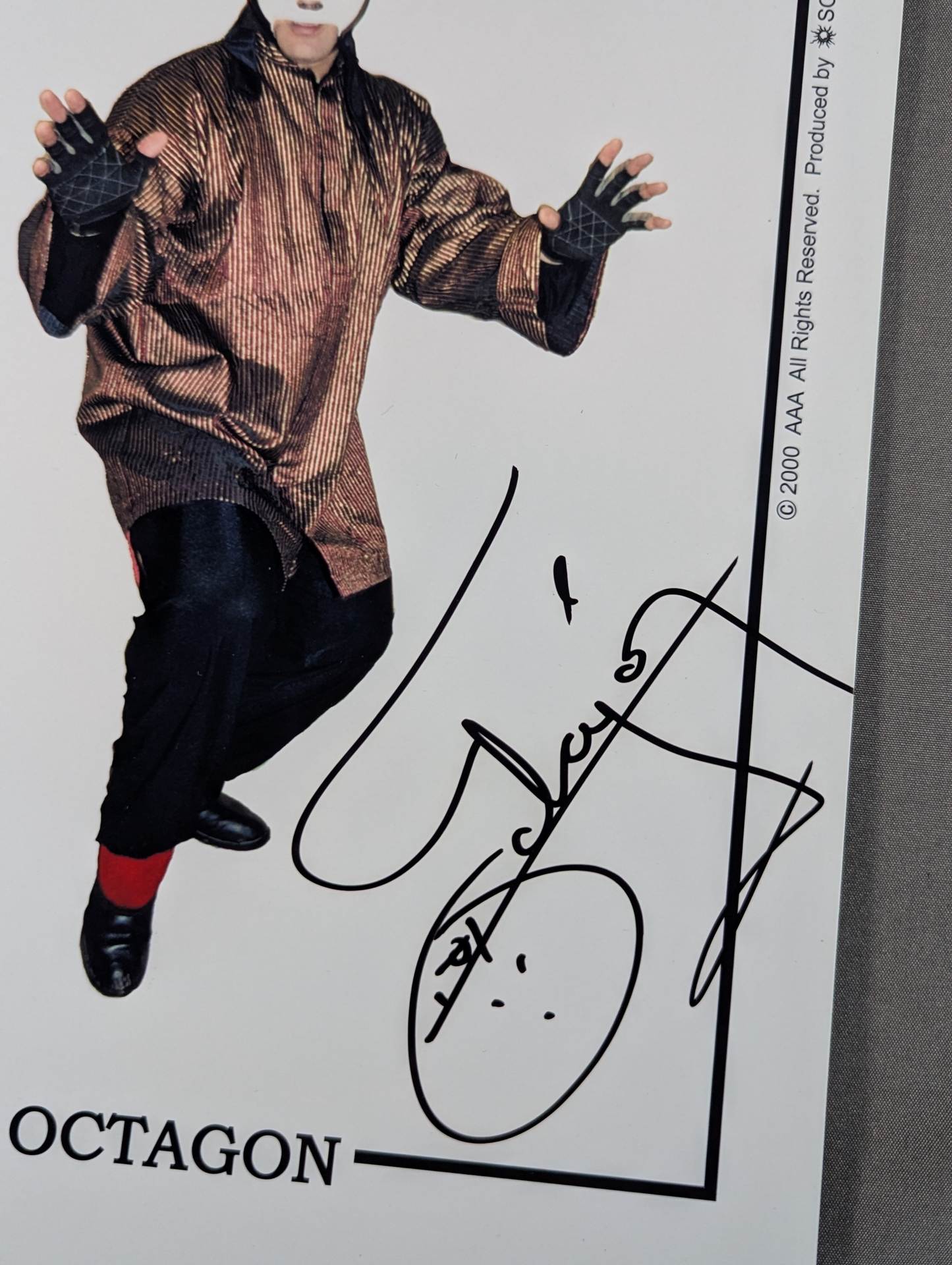 ☆AAA☆ オクタゴン 直筆サイン入りポートレート① – 闘道館