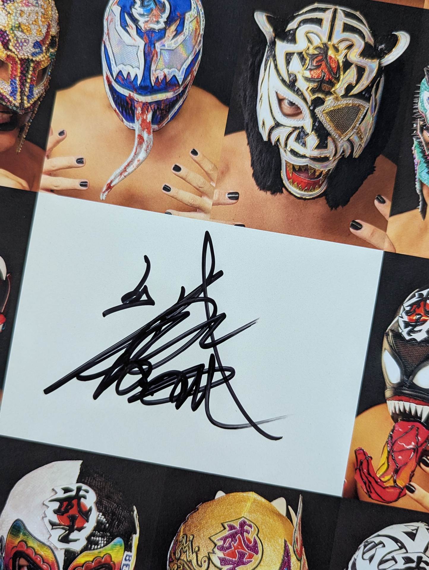 BUSHI 直筆サイン入り ポートレート(A-5) – 闘道館