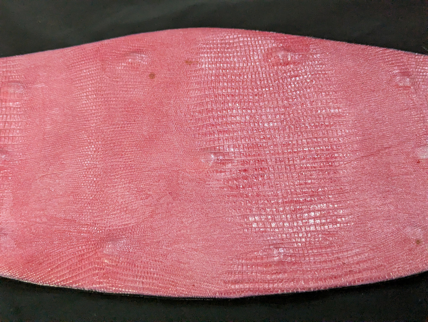 NWA World Heavyweight Championship Belt (1977~1986)