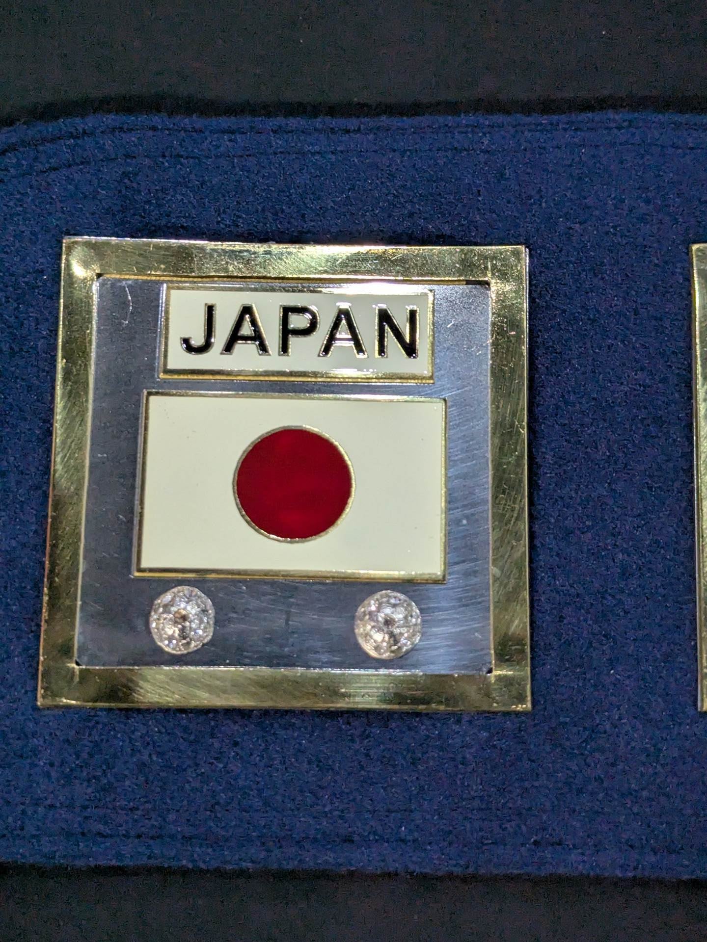 NWA World Welterweight Championship Belt