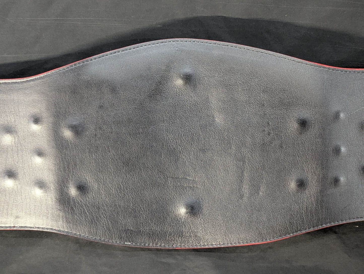 NWA World Heavyweight Championship Belt (1977~1986)