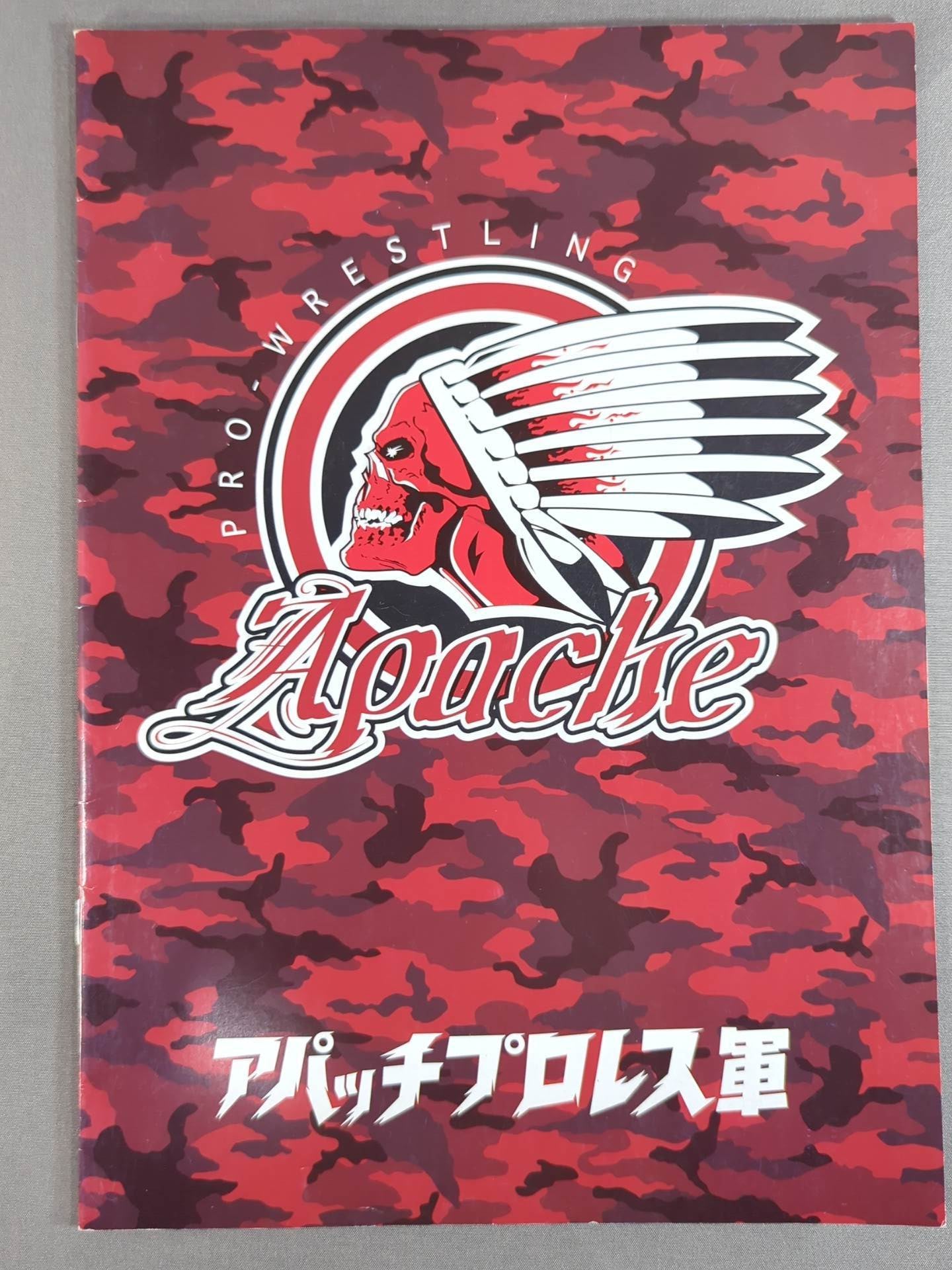 アパッチプロレス軍(2006年)