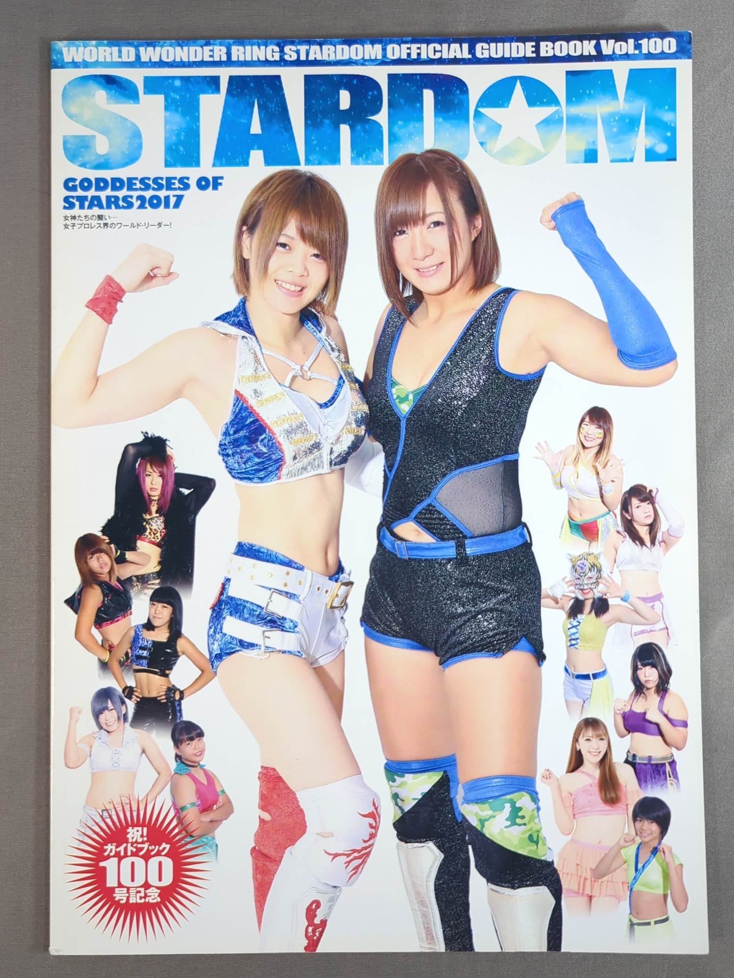 STARDOM OFFICIAL GUIDE BOOK Vol.100