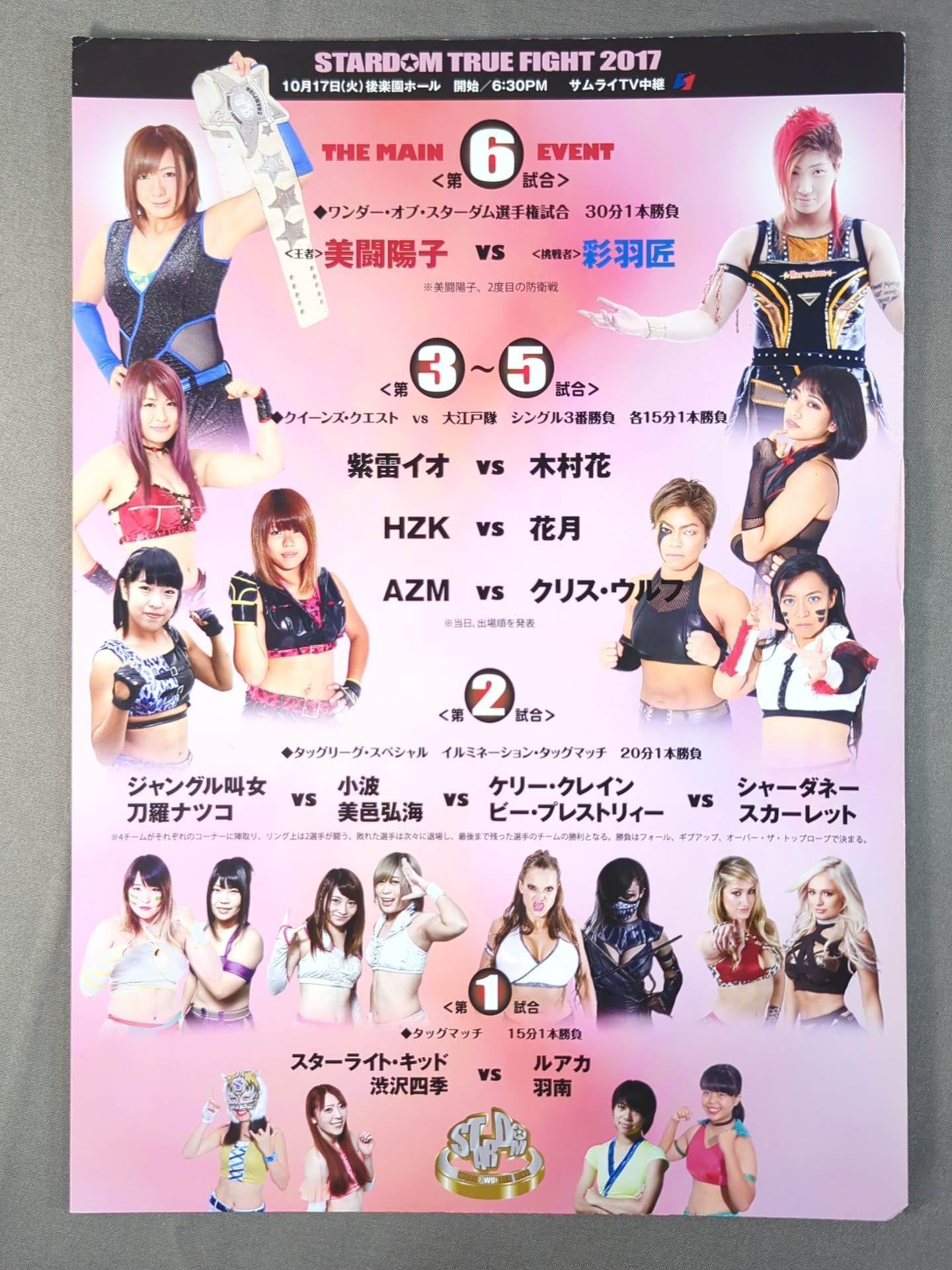 STARDOM OFFICIAL GUIDE BOOK Vol.100