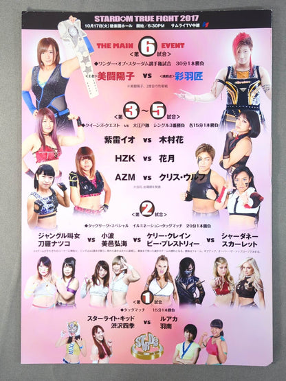STARDOM OFFICIAL GUIDE BOOK Vol.100