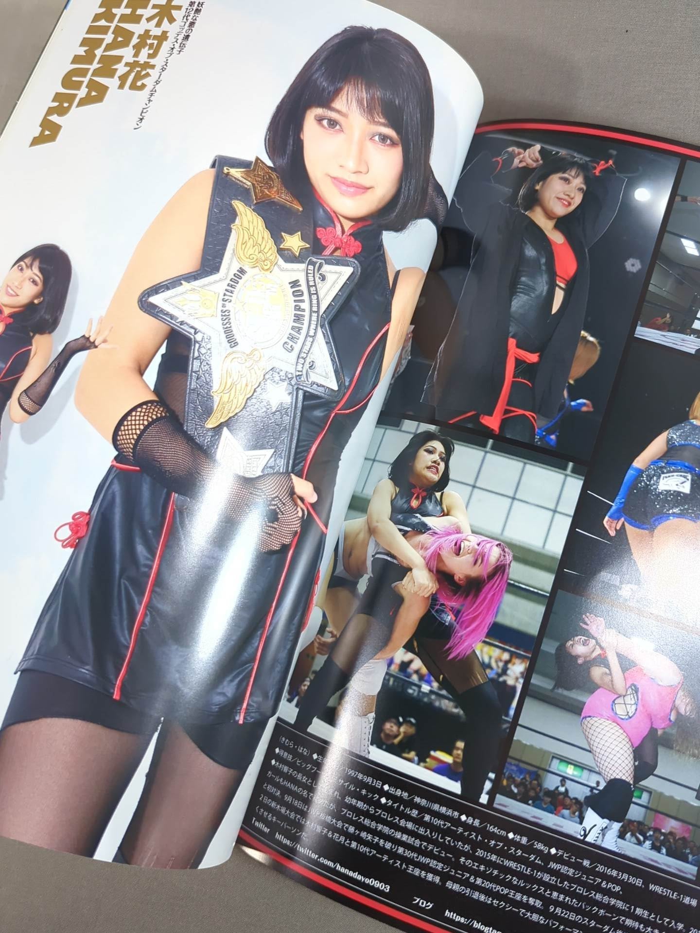 STARDOM OFFICIAL GUIDE BOOK Vol.100 – 闘道館