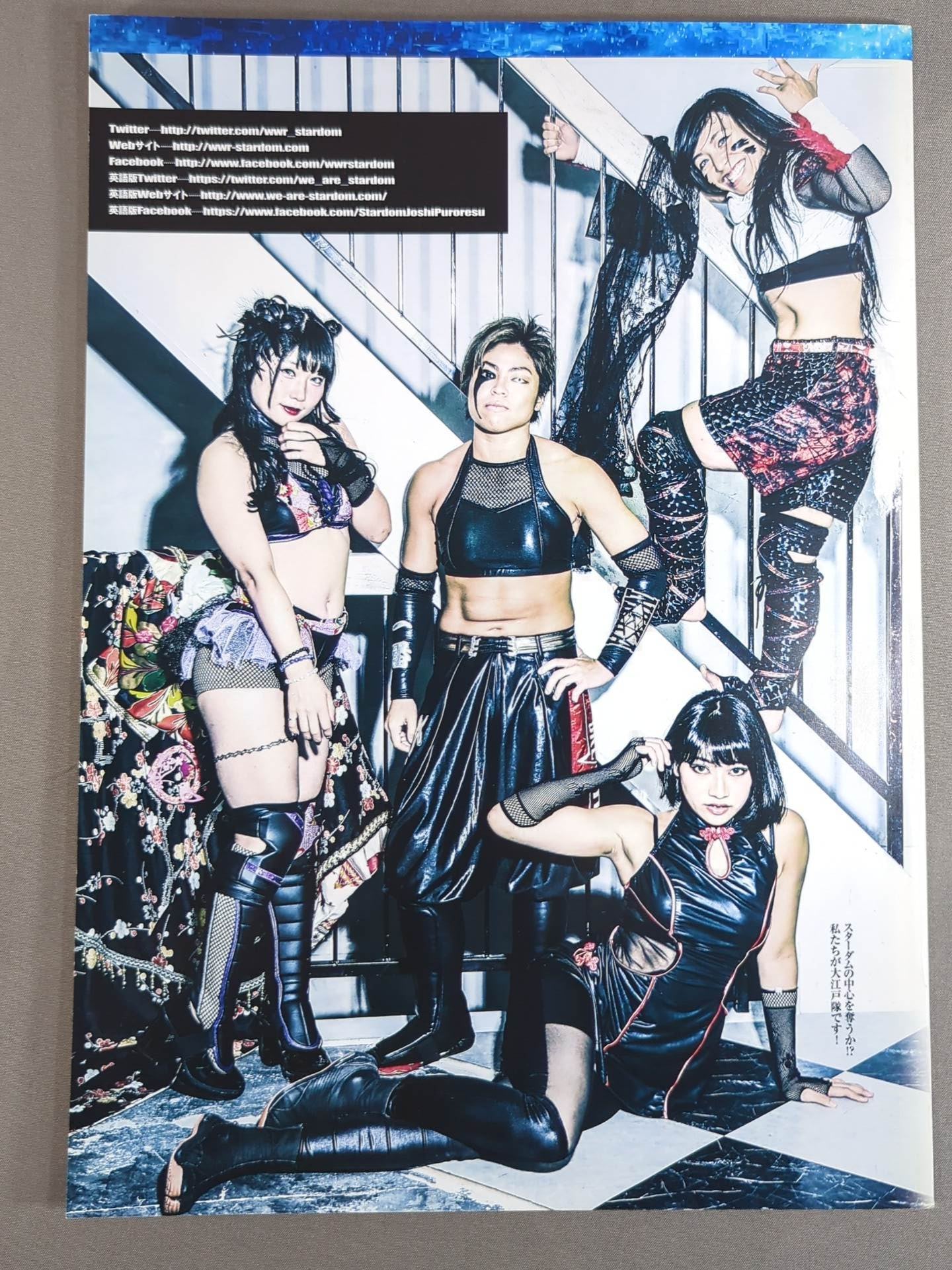 STARDOM OFFICIAL GUIDE BOOK Vol.100
