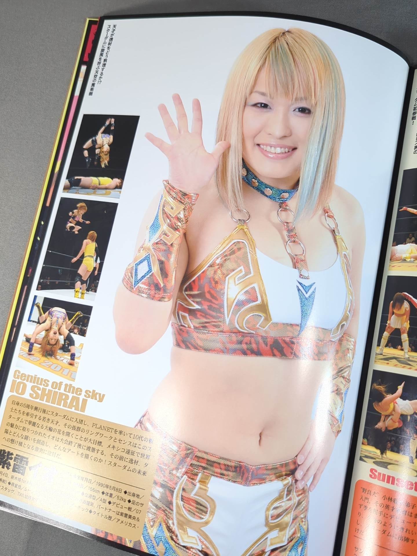 ★BI砲 ワンダー戦★ STARDOM OFFICIAL GUIDE BOOK Vol.15