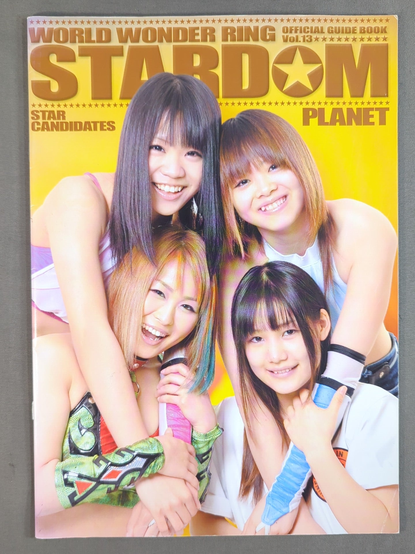 STARDOM OFFICIAL GUIDE BOOK Vol.13