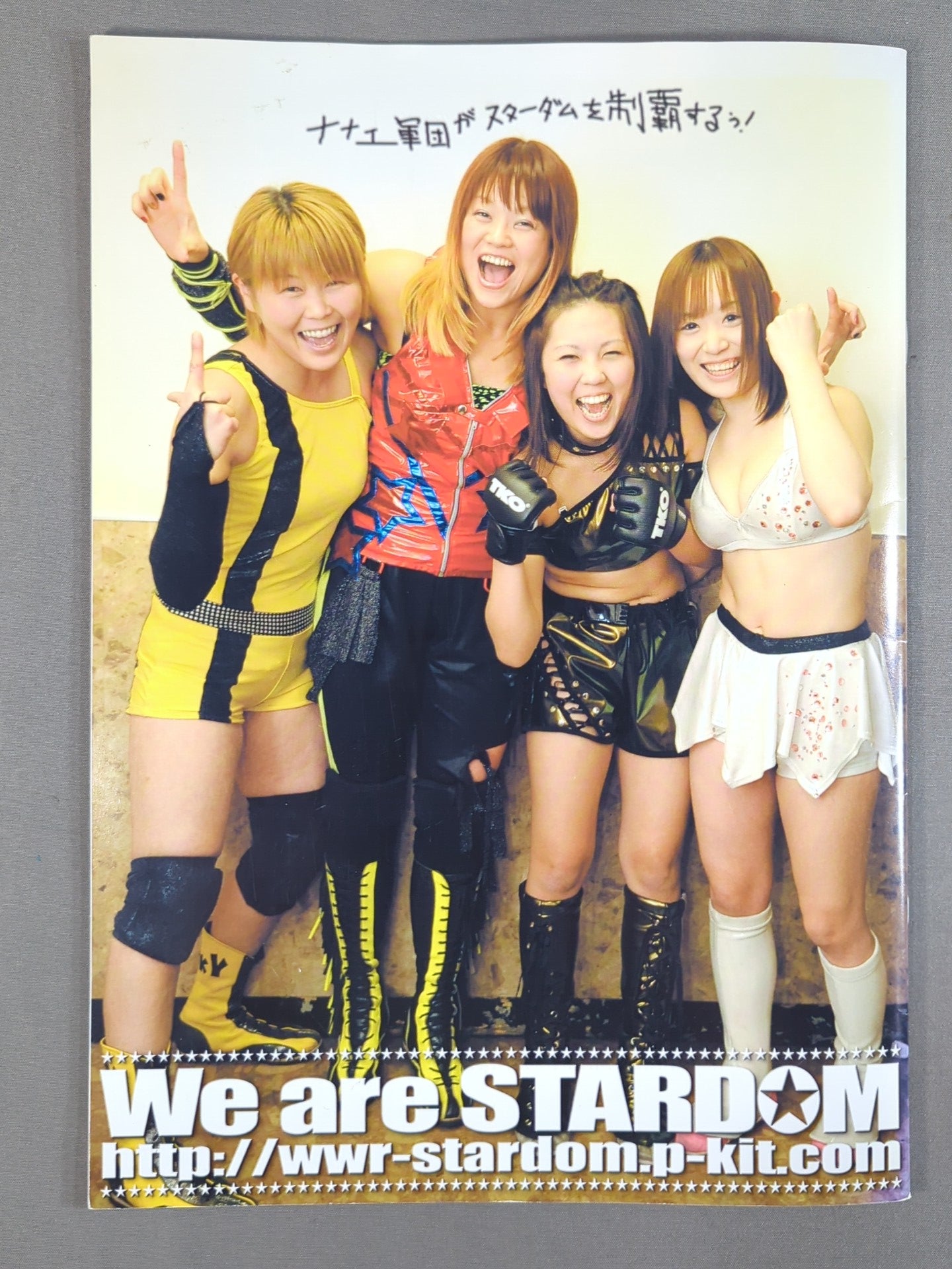 STARDOM OFFICIAL GUIDE BOOK Vol.13