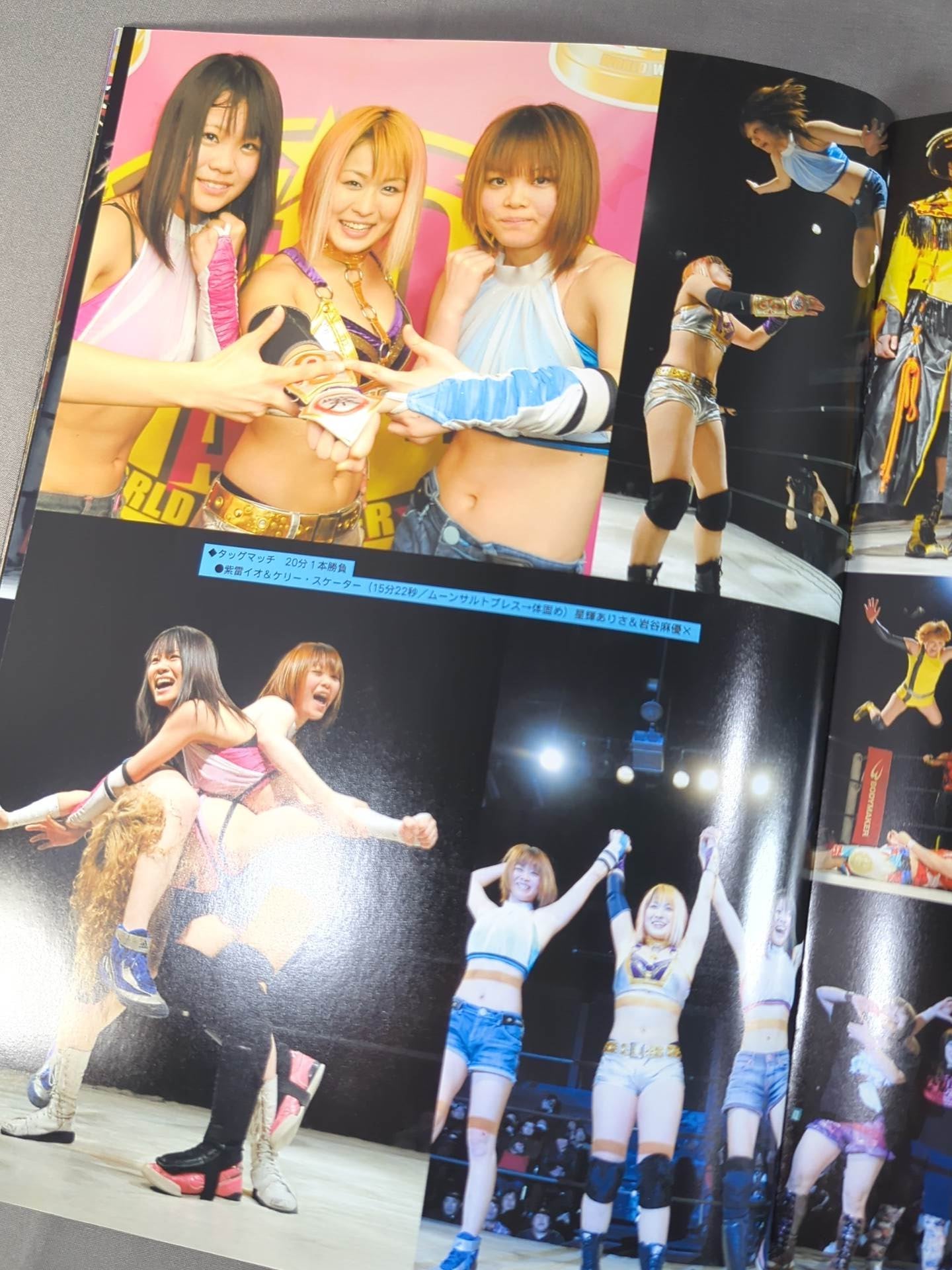 STARDOM OFFICIAL GUIDE BOOK Vol.10