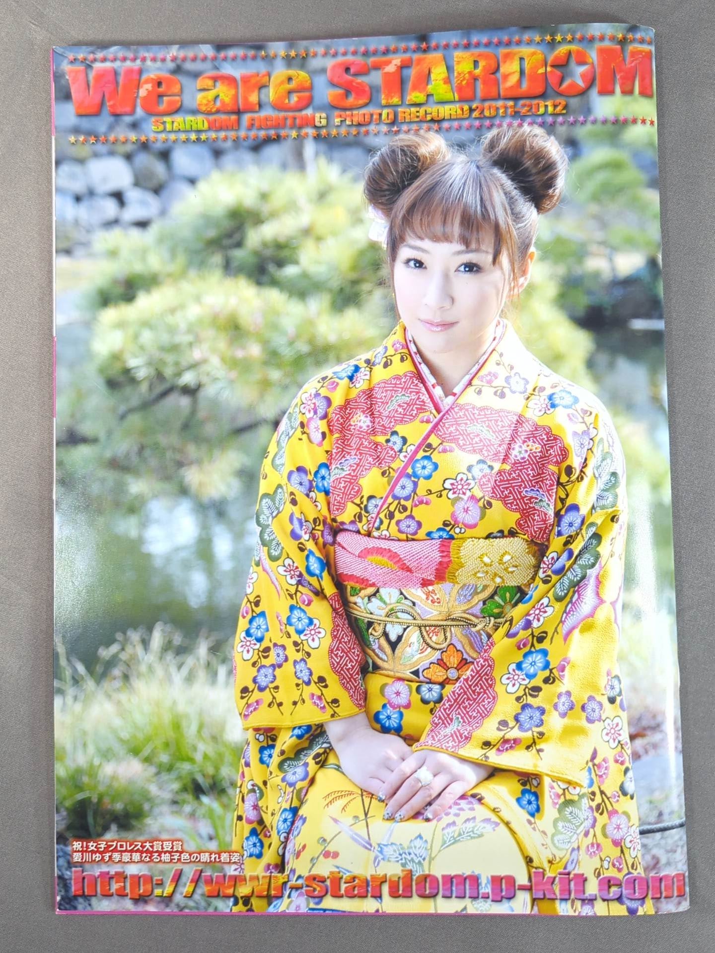 STARDOM OFFICIAL GUIDE BOOK Vol.10