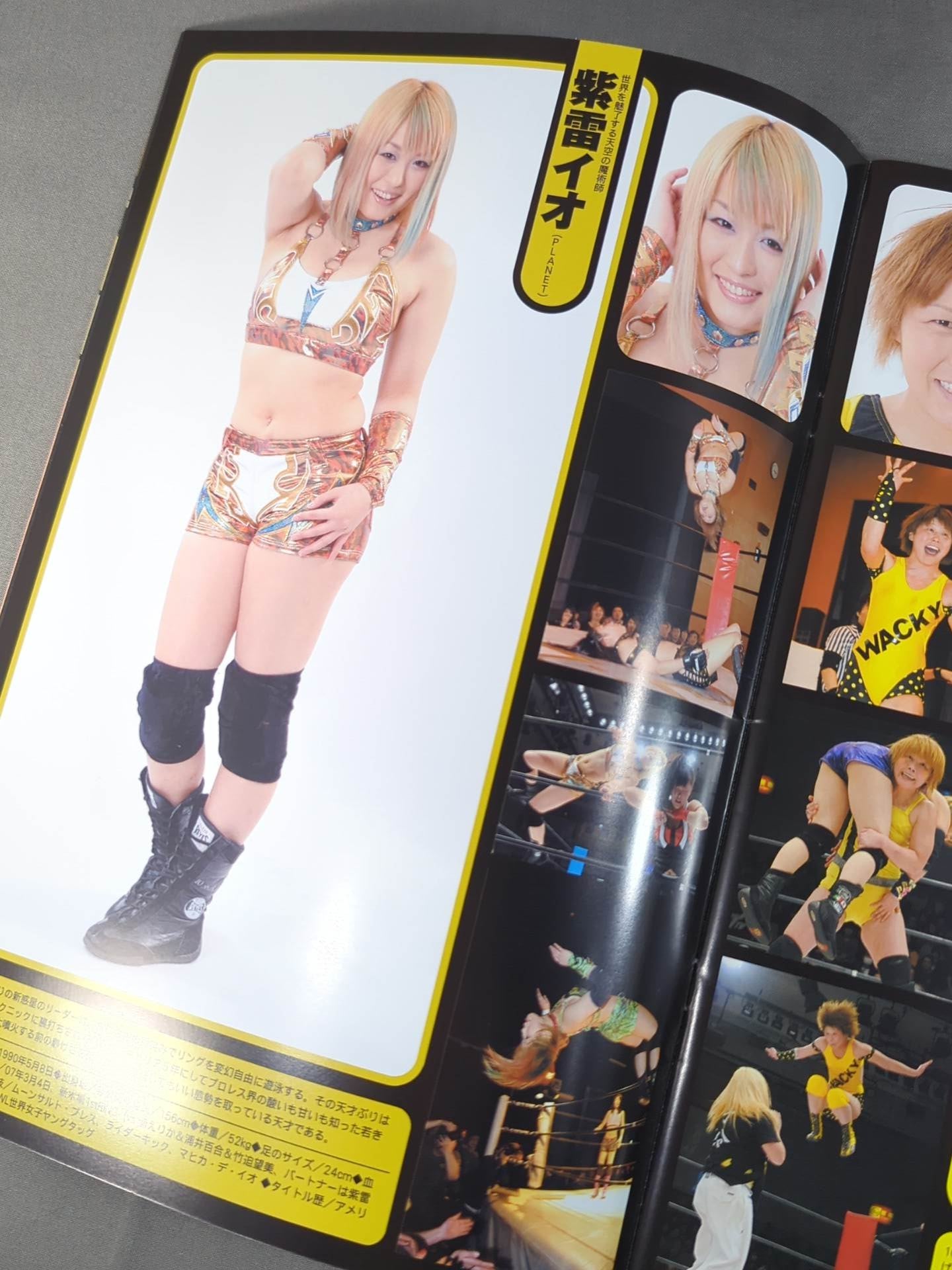 STARDOM OFFICIAL GUIDE BOOK Vol.17