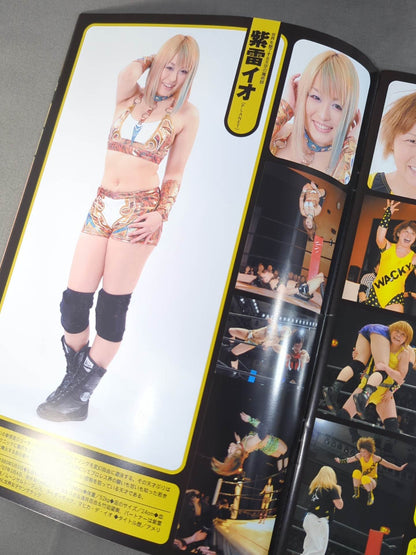 STARDOM OFFICIAL GUIDE BOOK Vol.17