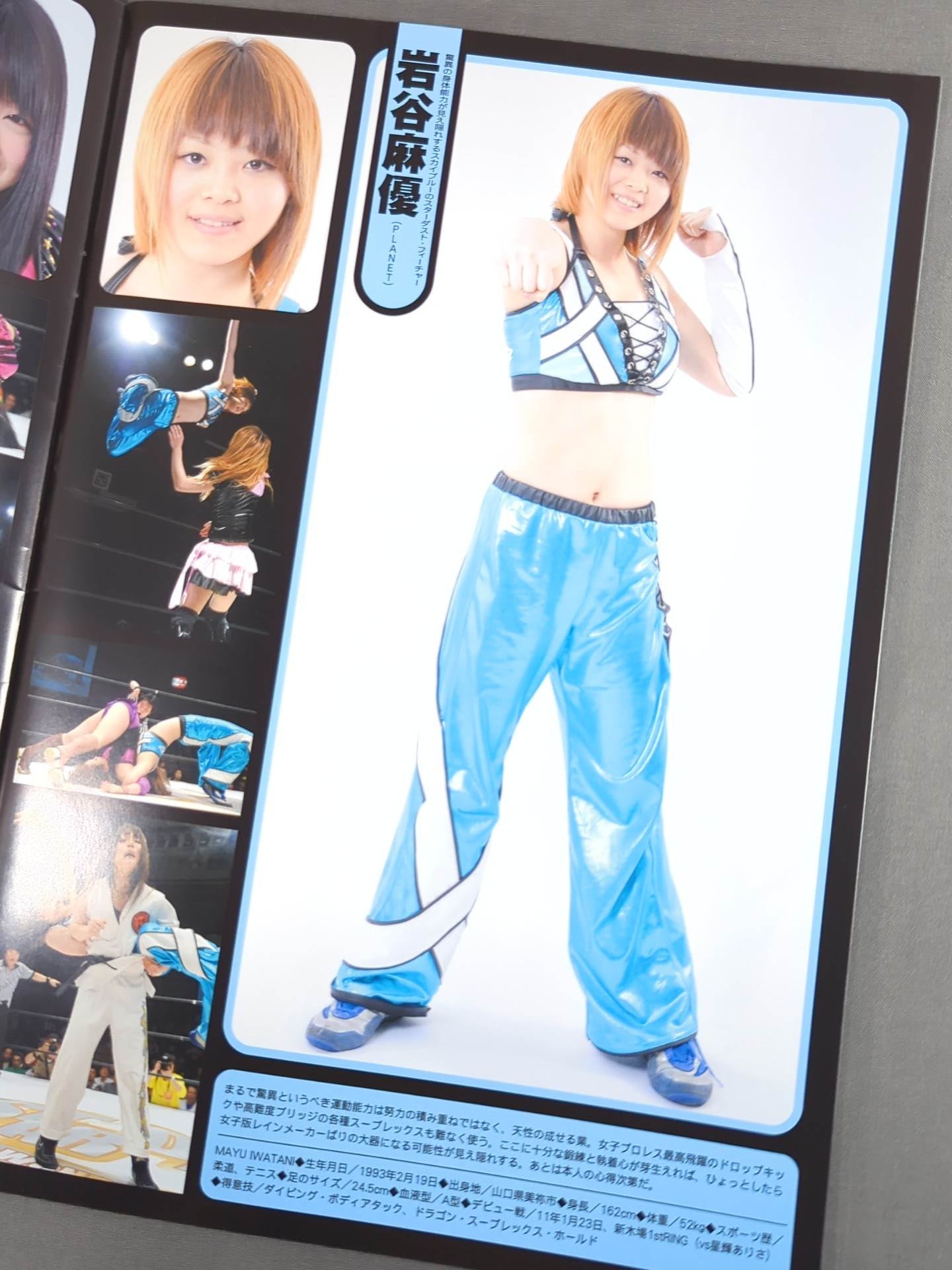 STARDOM OFFICIAL GUIDE BOOK Vol.17