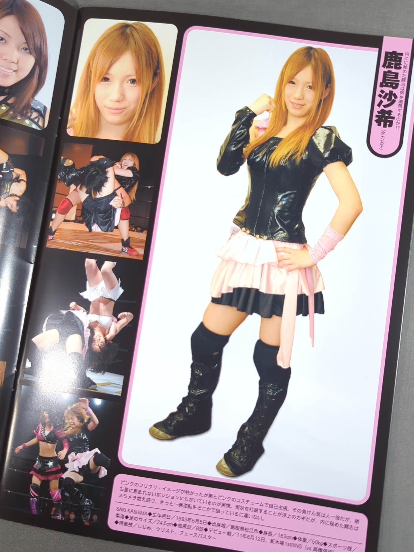STARDOM OFFICIAL GUIDE BOOK Vol.17