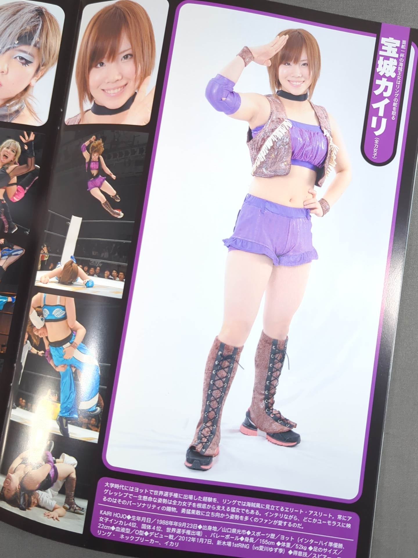 STARDOM OFFICIAL GUIDE BOOK Vol.17