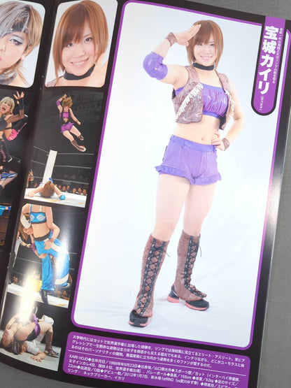 STARDOM OFFICIAL GUIDE BOOK Vol.17