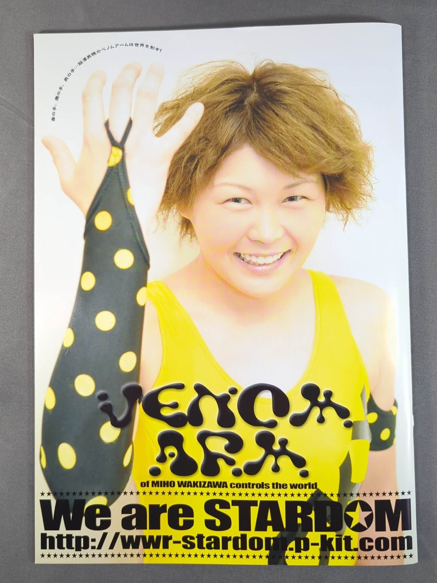 STARDOM OFFICIAL GUIDE BOOK Vol.17