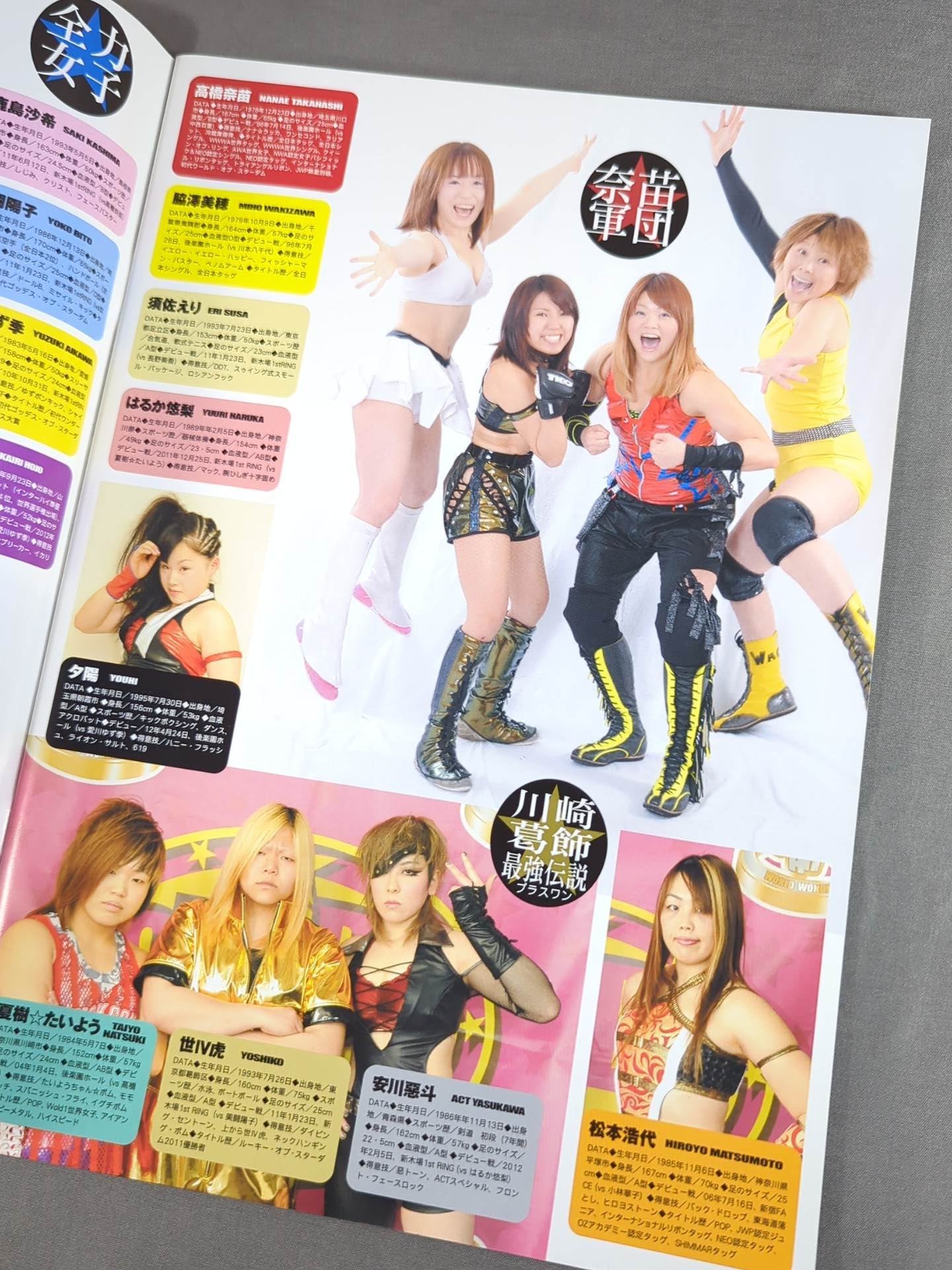 STARDOM OFFICIAL GUIDE BOOK Vol.16