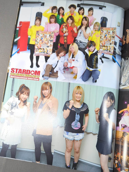 STARDOM OFFICIAL GUIDE BOOK Vol.16