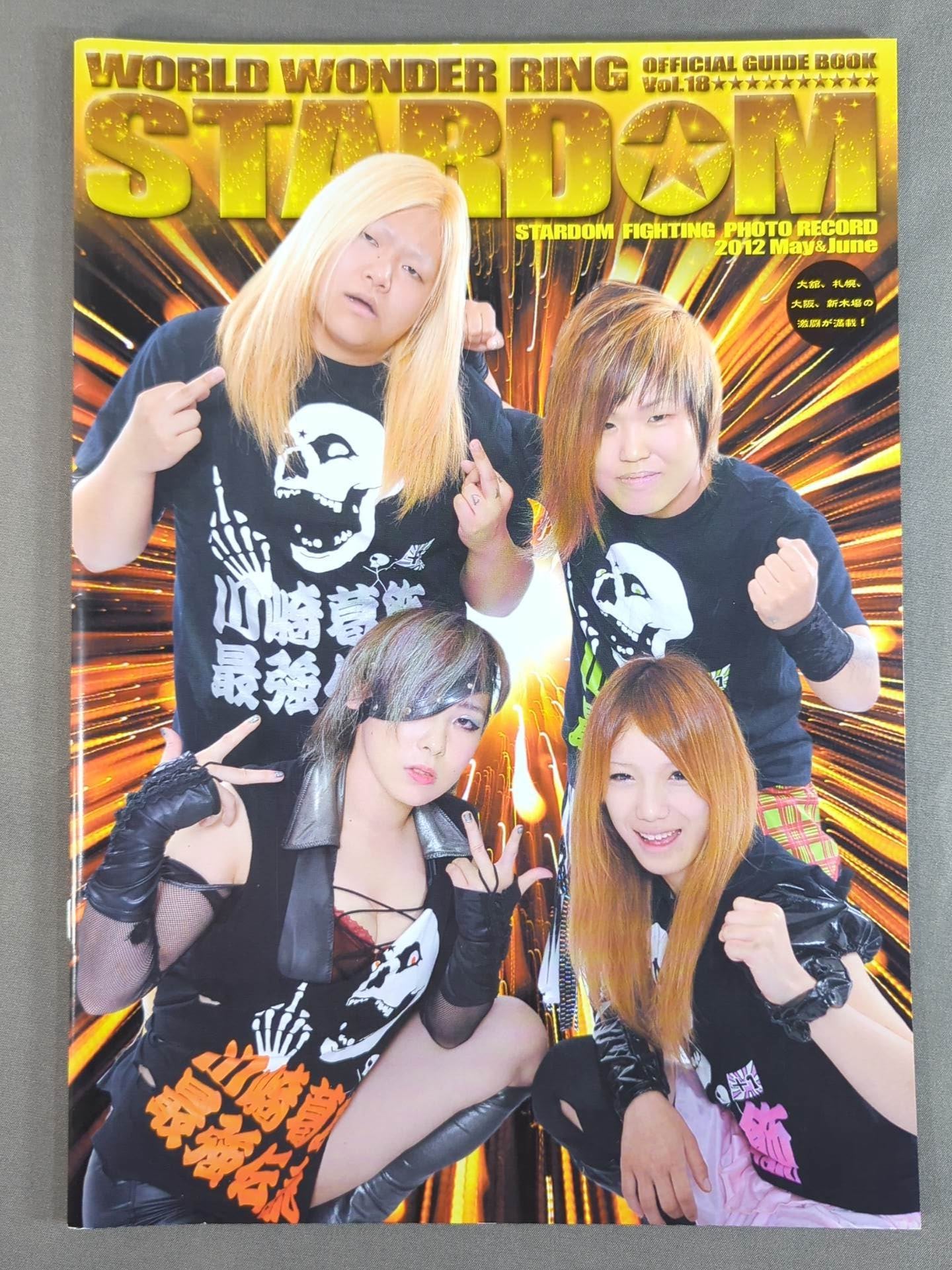 STARDOM OFFICIAL GUIDE BOOK Vol.18