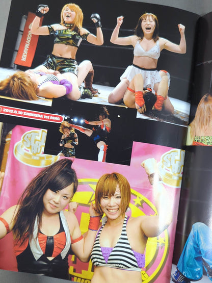 STARDOM OFFICIAL GUIDE BOOK Vol.18