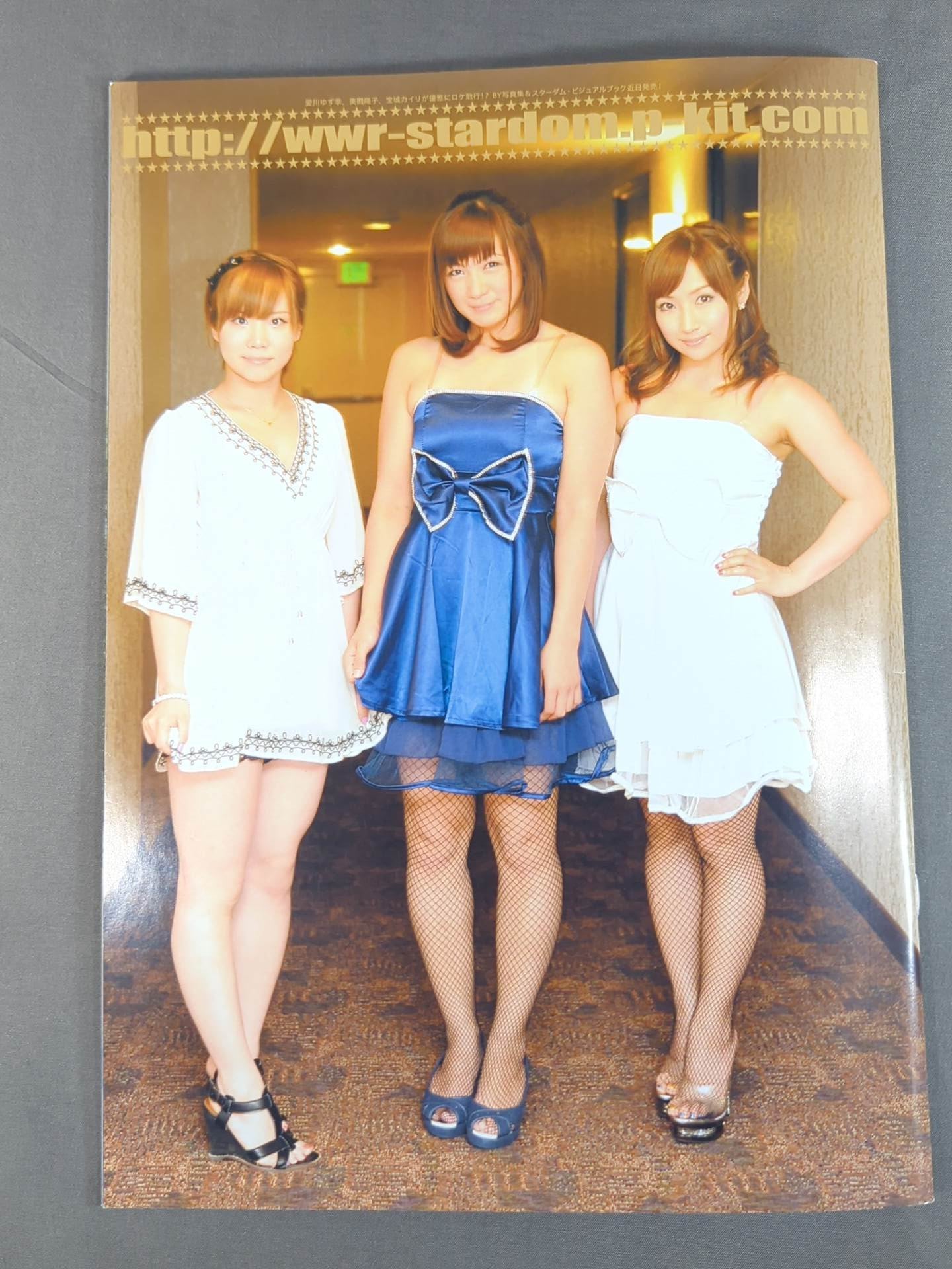 STARDOM OFFICIAL GUIDE BOOK Vol.18