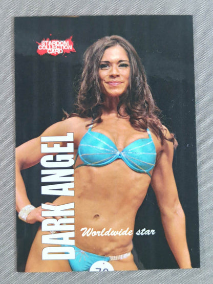 STARDOM COLLECTION CARD Dark Angel(87)