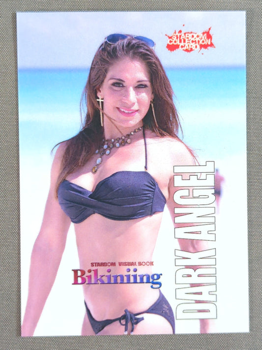 STARDOM COLLECTION CARD ダーク・エンジェル(84)