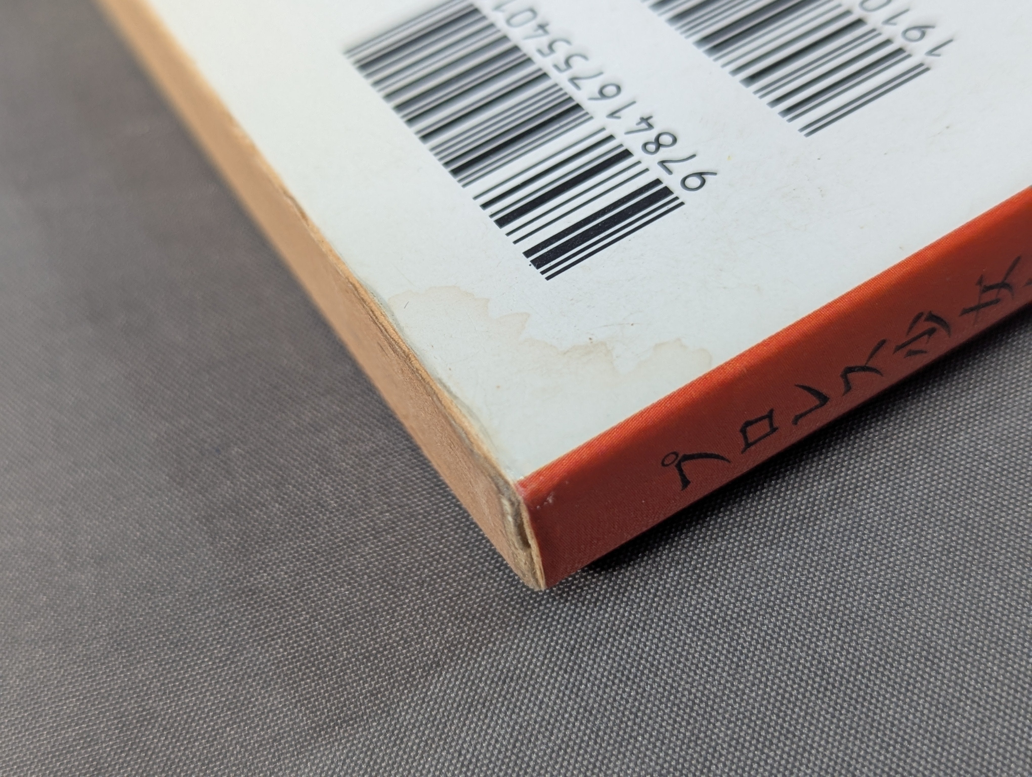 プロレス少女伝説 – 闘道館