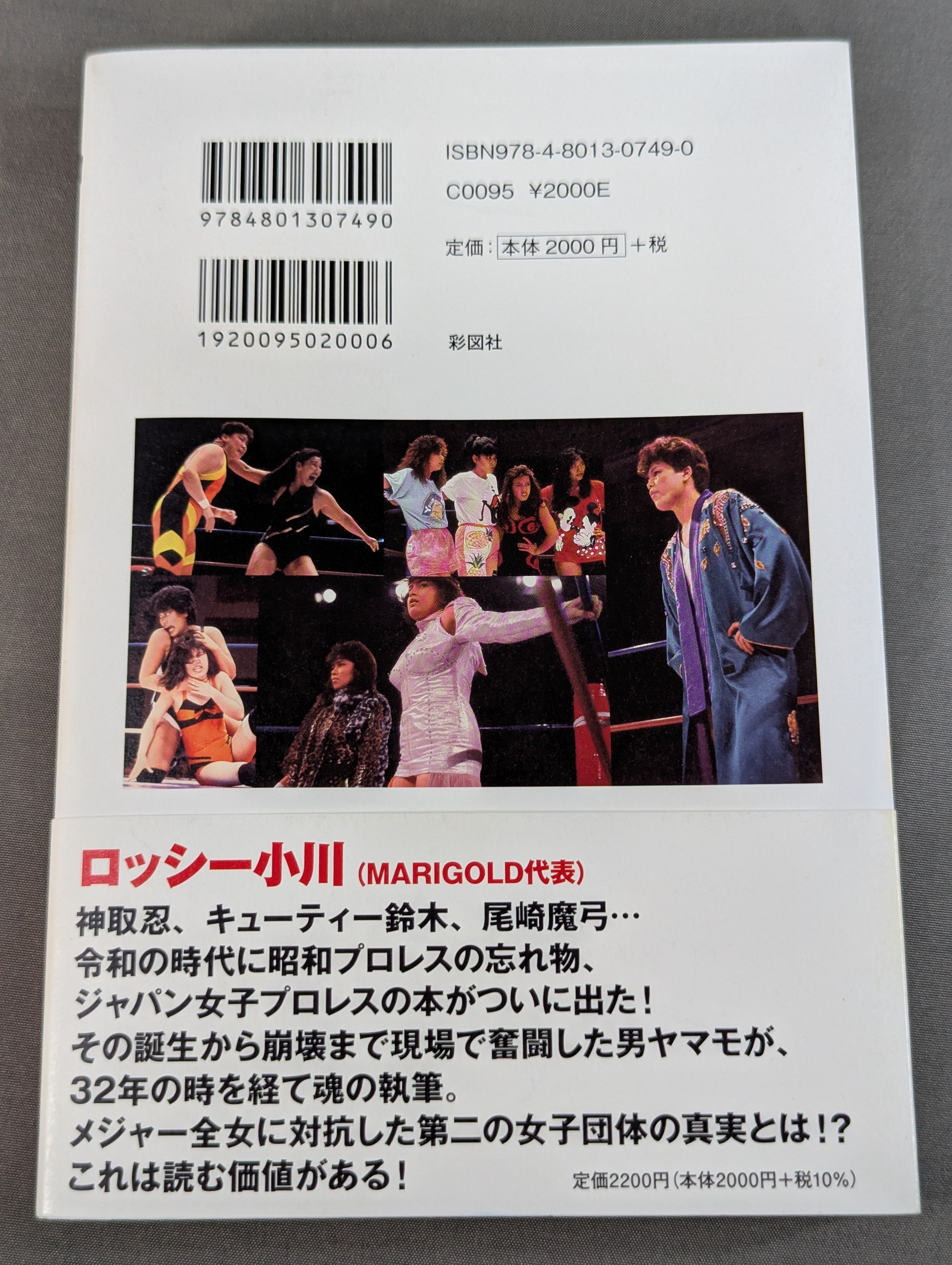 実録]ジャパン女子プロレス – 闘道館