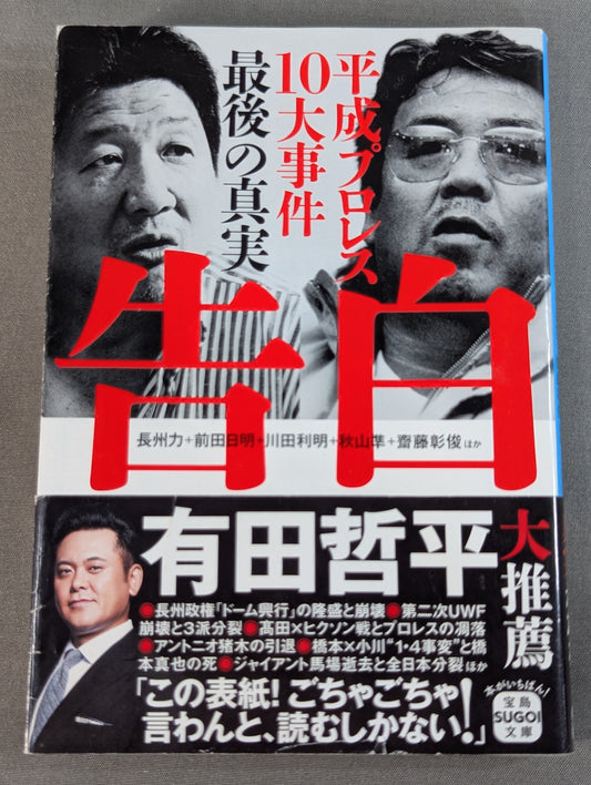 Confession Heisei Pro Wrestling  10 Major Incidents The Last Truth
