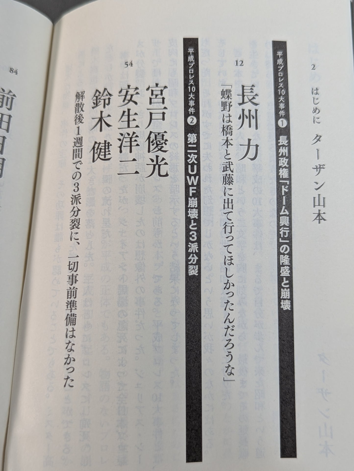 Confession Heisei Pro Wrestling  10 Major Incidents The Last Truth