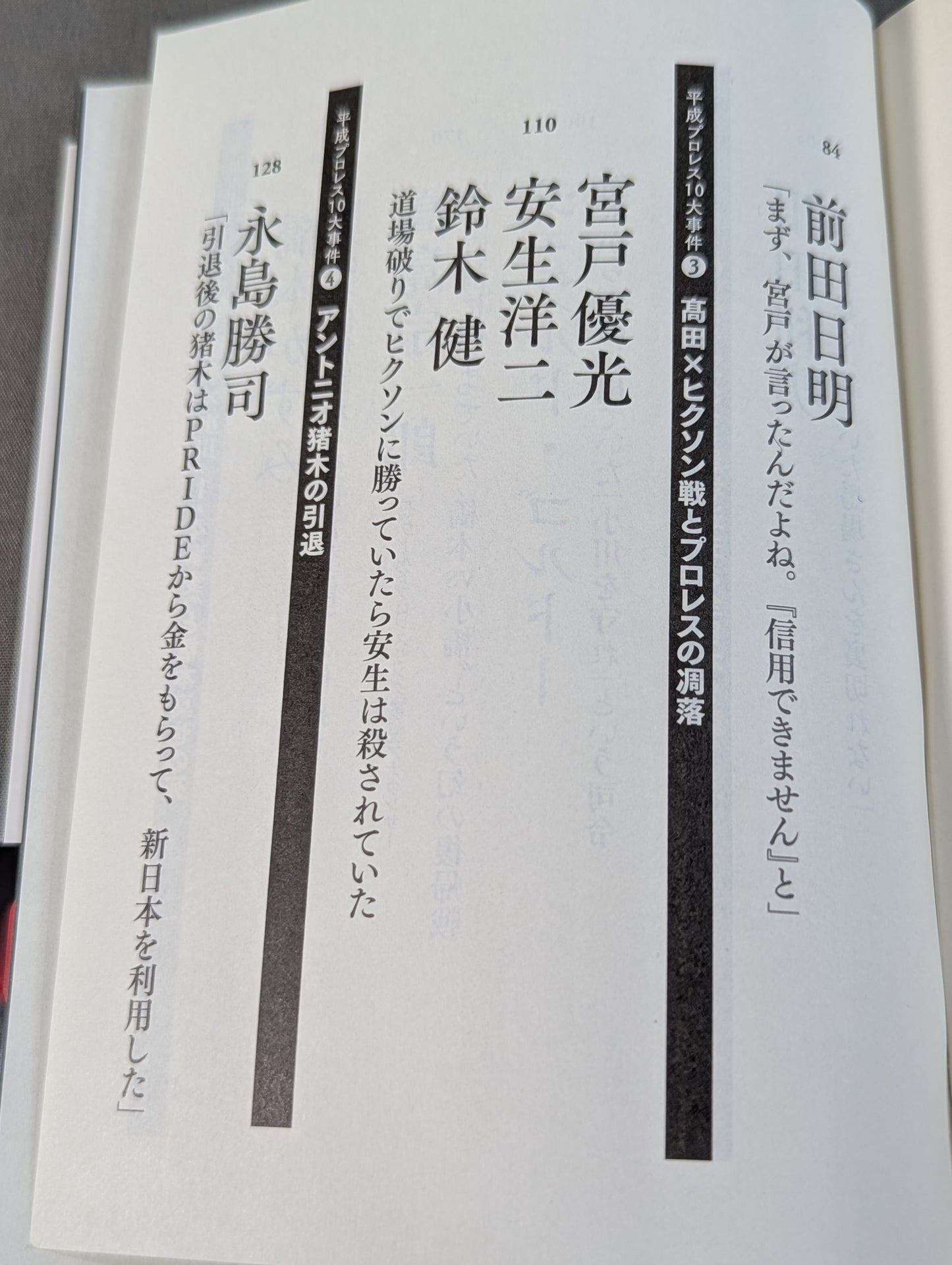 Confession Heisei Pro Wrestling  10 Major Incidents The Last Truth