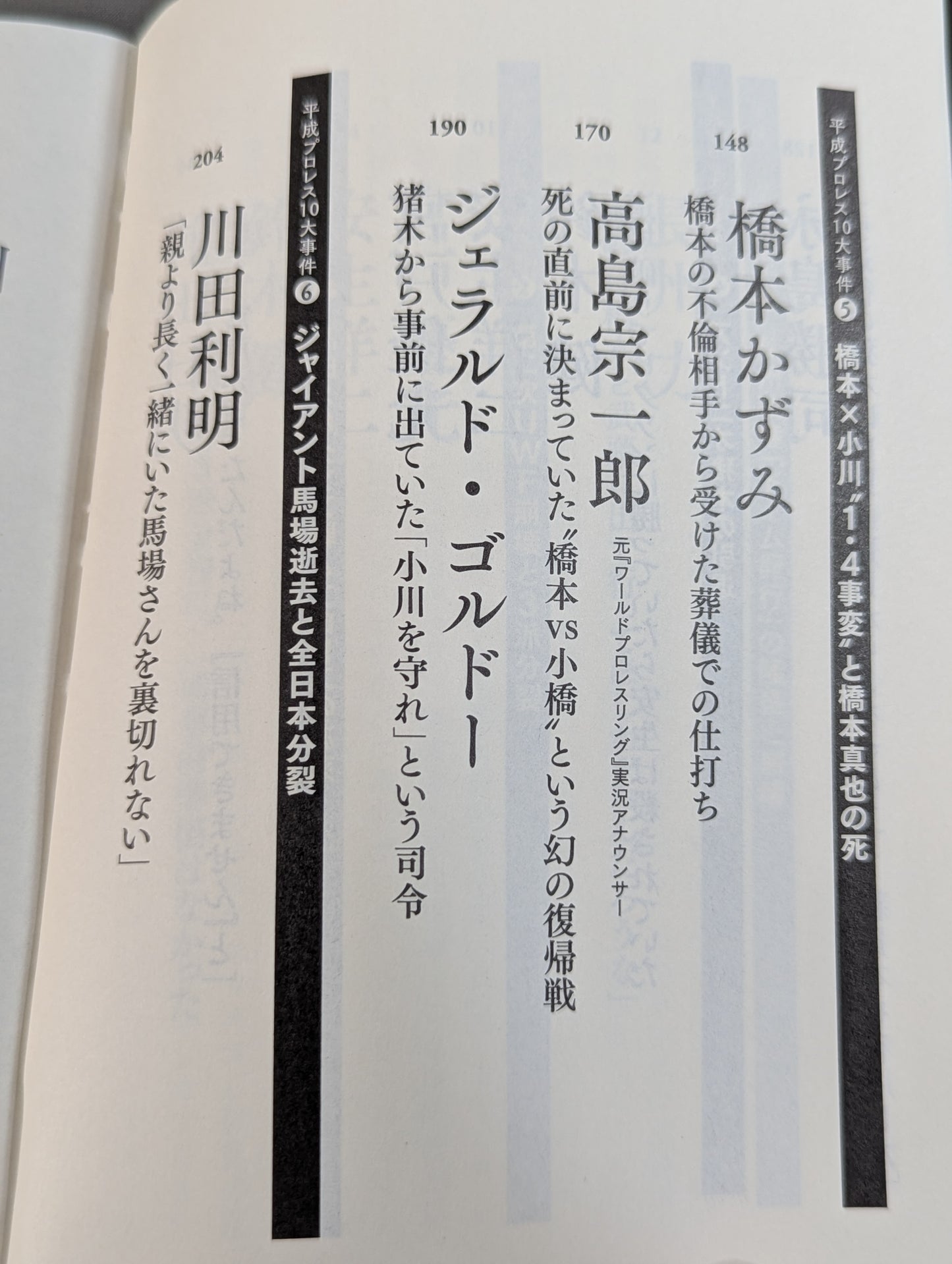 Confession Heisei Pro Wrestling  10 Major Incidents The Last Truth