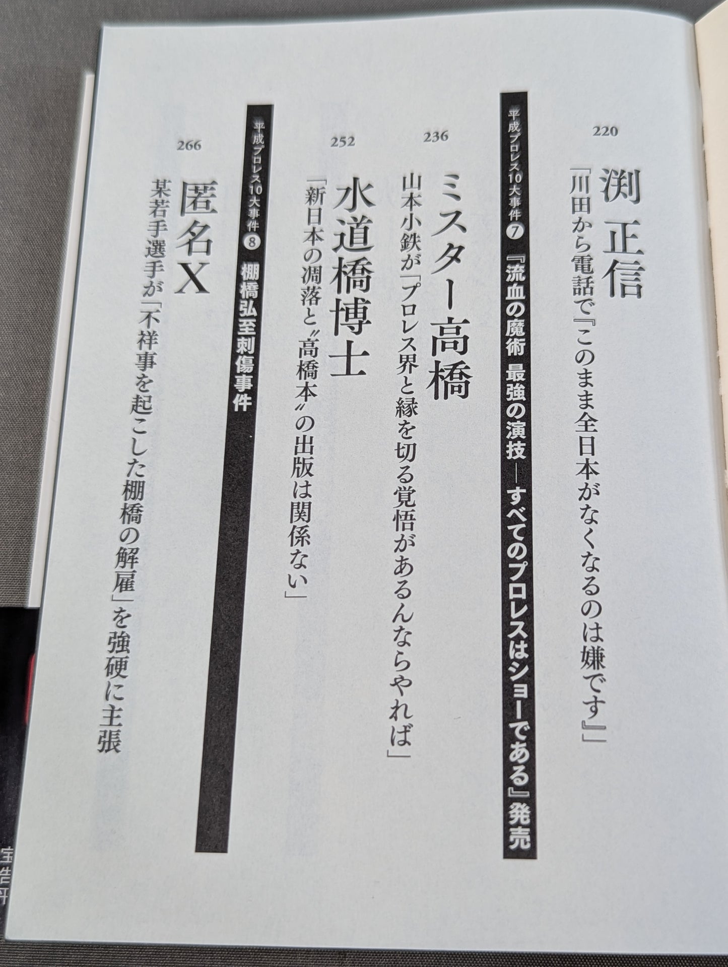Confession Heisei Pro Wrestling  10 Major Incidents The Last Truth