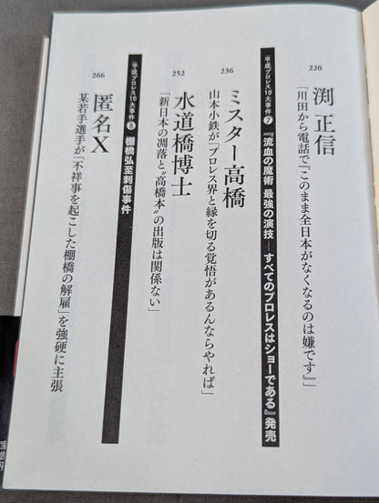 Confession Heisei Pro Wrestling  10 Major Incidents The Last Truth