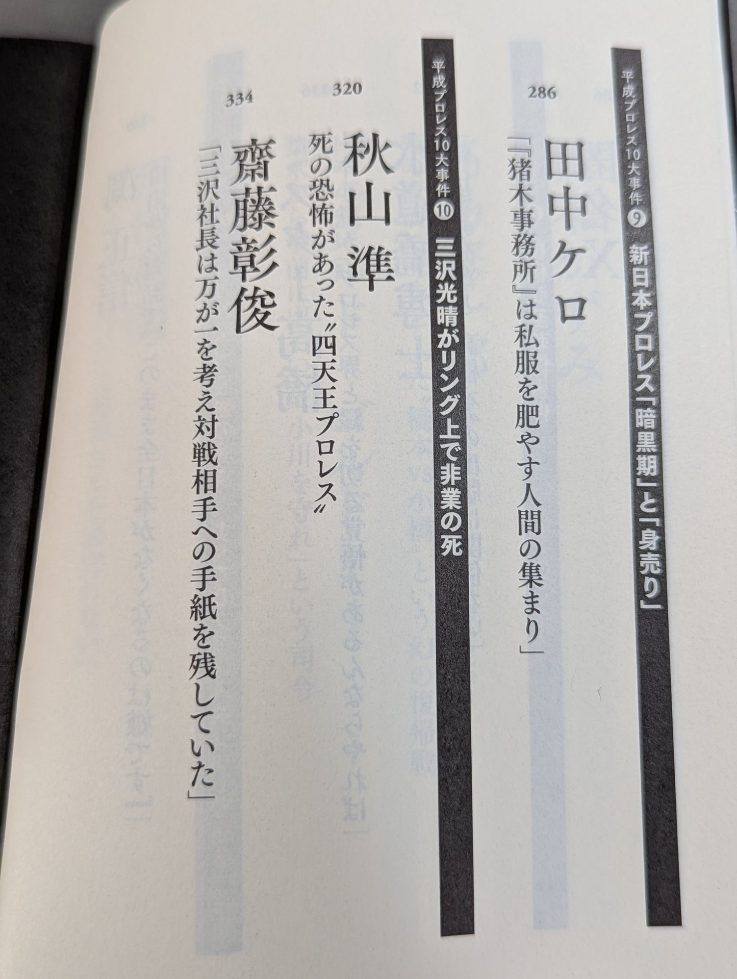 Confession Heisei Pro Wrestling  10 Major Incidents The Last Truth
