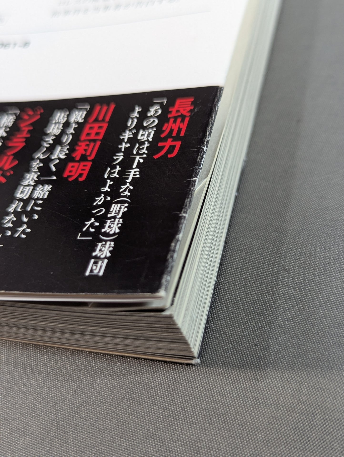 Confession Heisei Pro Wrestling  10 Major Incidents The Last Truth