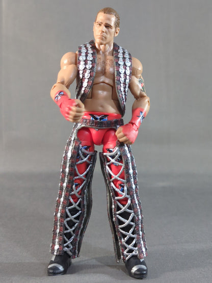 ショーン・マイケルズ(茶×銀ベスト)