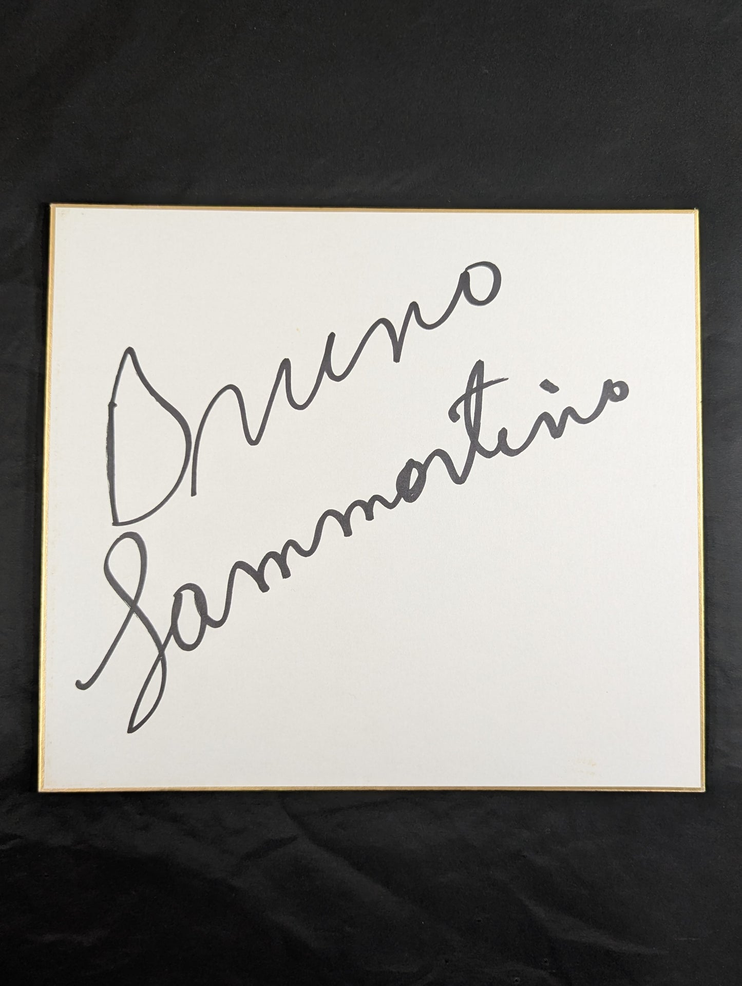 Bruno Sammartino 