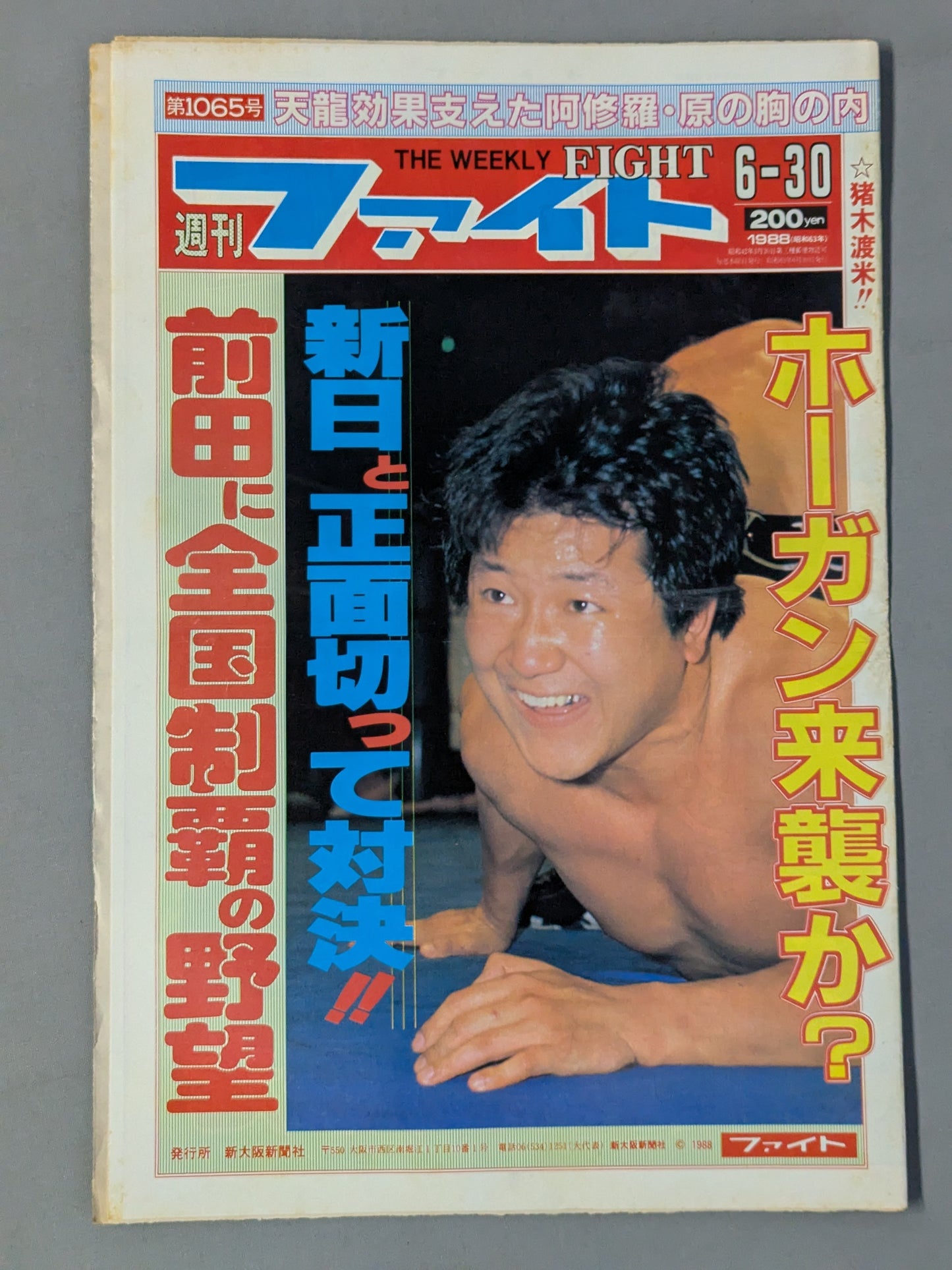 週刊ファイト1065