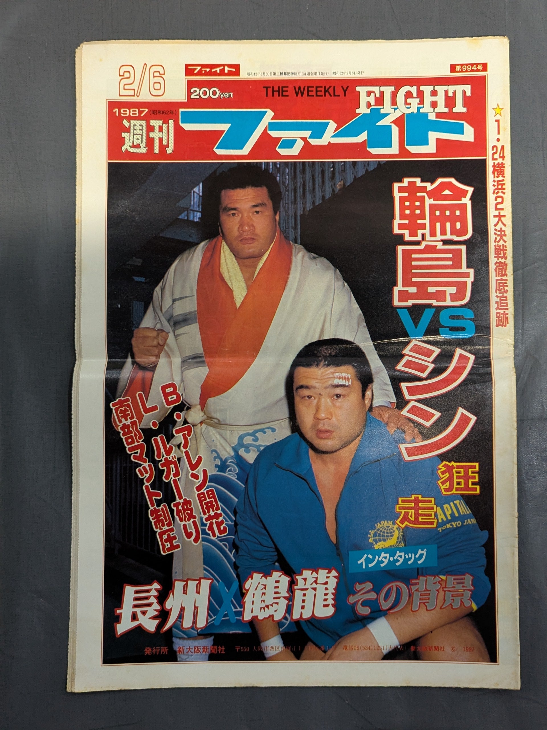 週刊ファイト994 – 闘道館