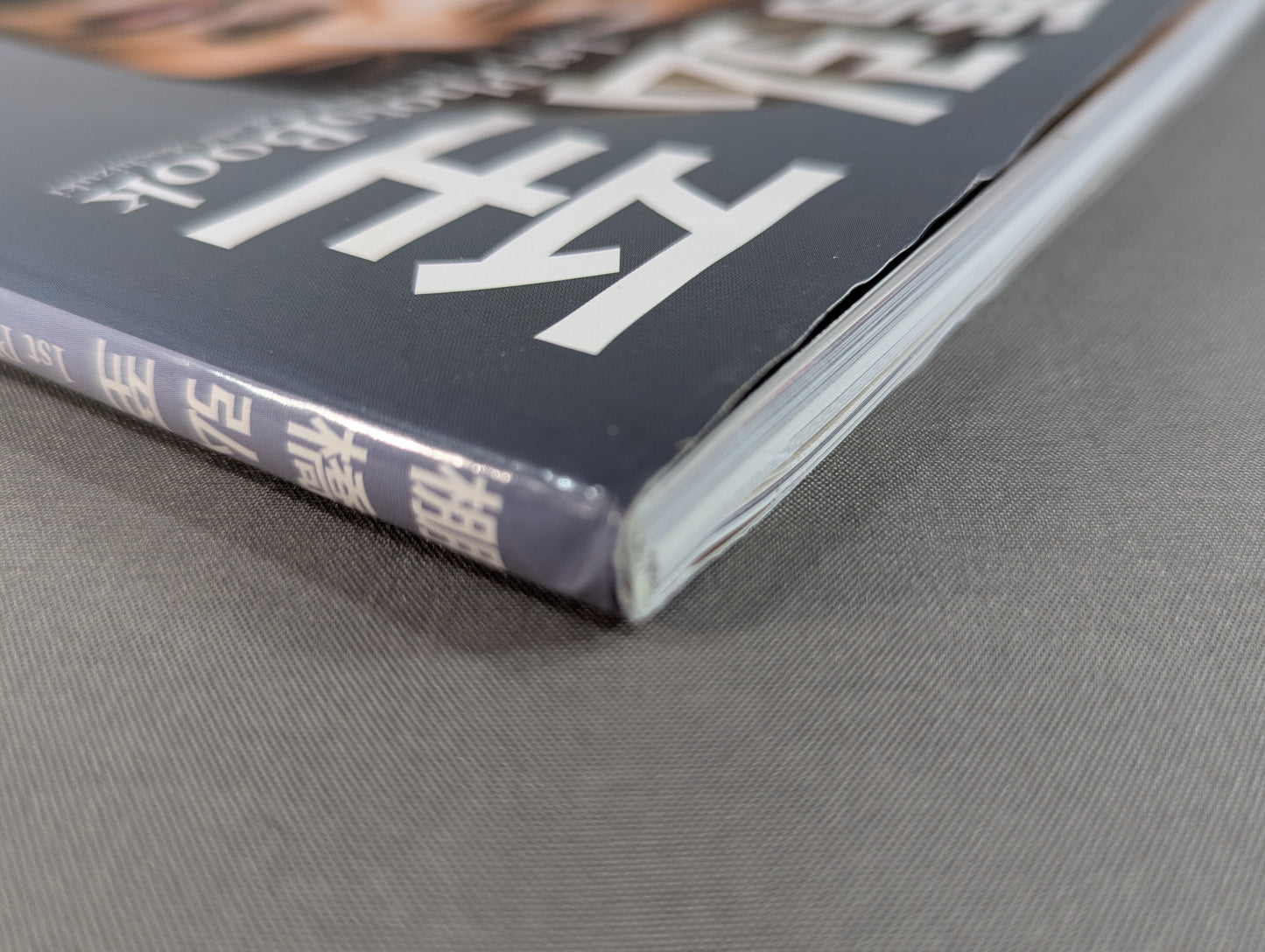 棚橋弘至 1st PhotoBook 1/100 The one-hundredth