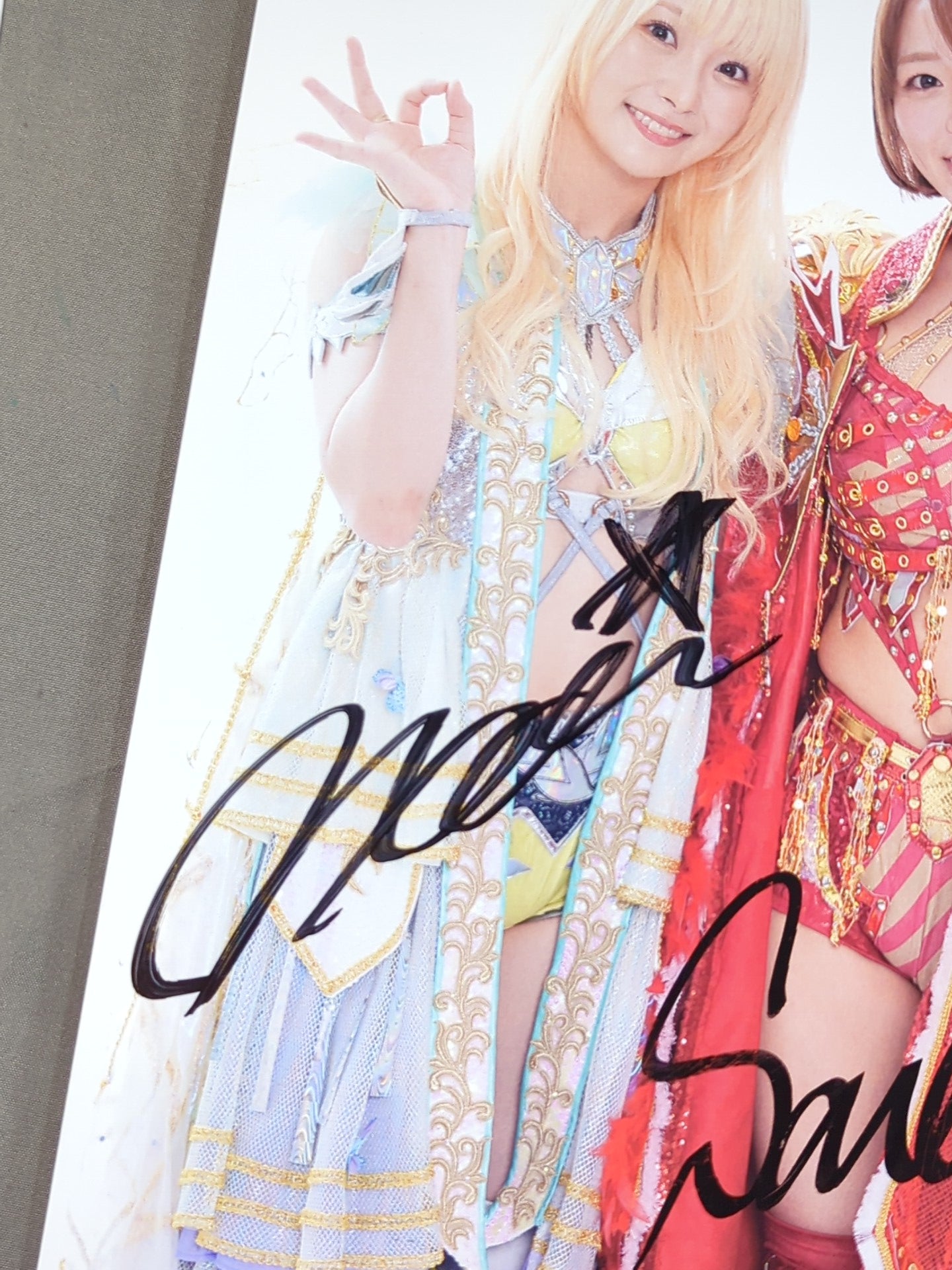 Sareee＆なつぽい 直筆Wサイン入り ポートレート① – 闘道館