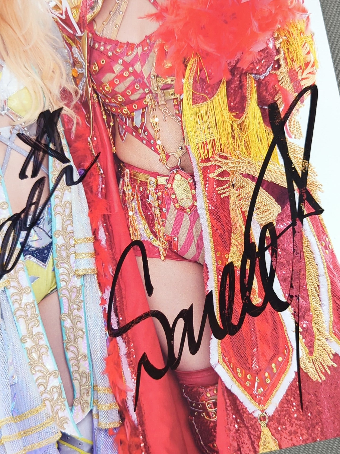 Sareee＆なつぽい 直筆Wサイン入り ポートレート① – 闘道館