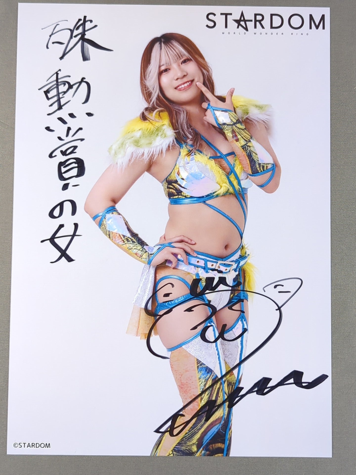 2月28日 – Page 5 – 闘道館