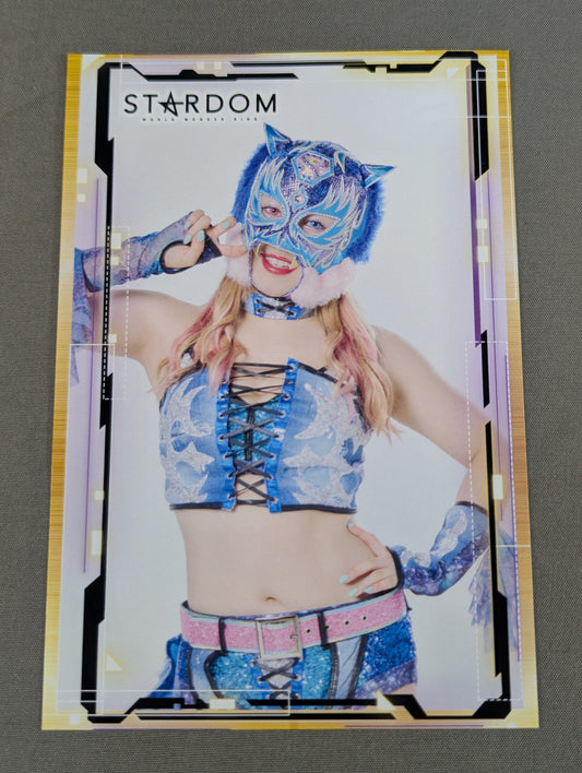 STARLIGHT KID  Photo Session Grand Prize Postcard (1)